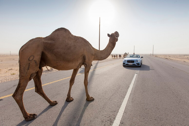 מכונית חשמלית ראשונה לערב הסעודית